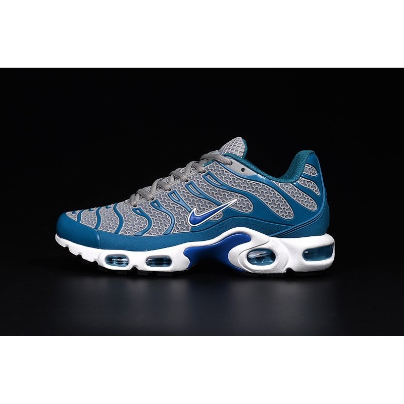 nike tn gris bleu